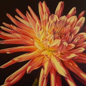 Meet your Posher, Clayton